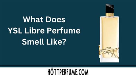 ysl libre perfume travel|YSL libre perfume smell like.